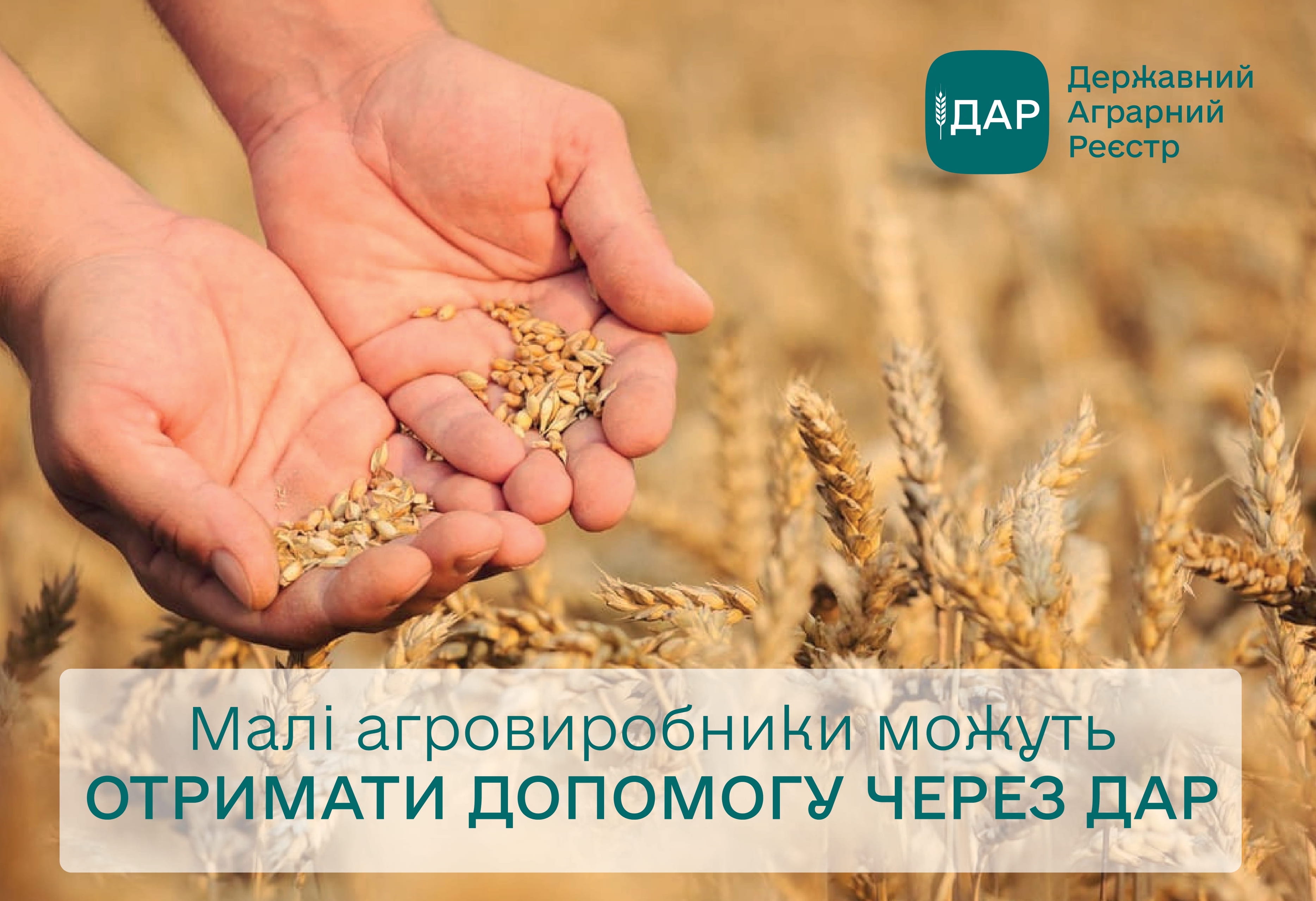  Маркіян Дмитрасевич: Малі агровиробники, котрі подадуть заявки на допомогу у вересні, зможуть очікувати на виплати у жовтні
